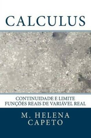 Cover of Continuidade E Limite