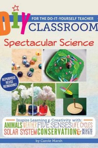 Cover of DIY Classroom