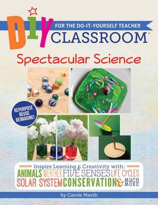 Book cover for DIY Classroom