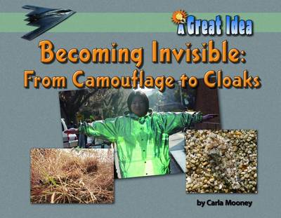 Book cover for Becoming Invisible