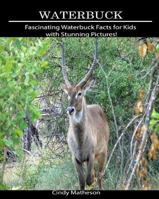 Book cover for Waterbuck