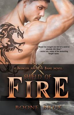 Book cover for Shield of Fire