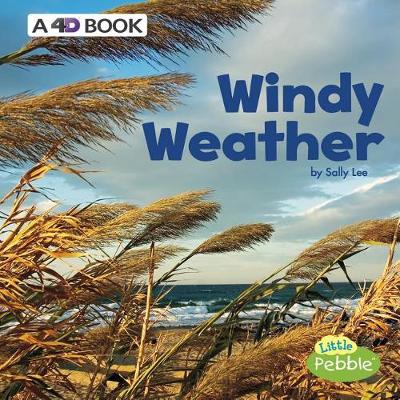 Book cover for Windy Weather