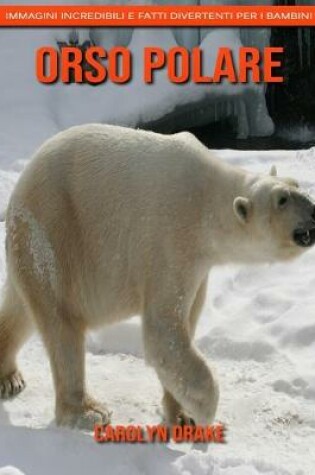 Cover of Orso polare