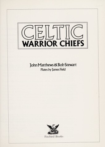 Book cover for Celtic Warrior Chiefs