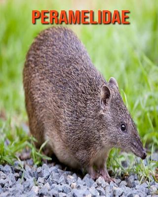 Book cover for Peramelidae