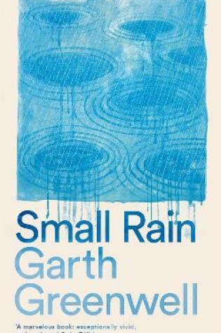 Cover of Small Rain