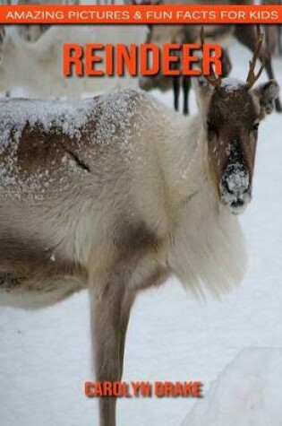 Cover of Reindeer