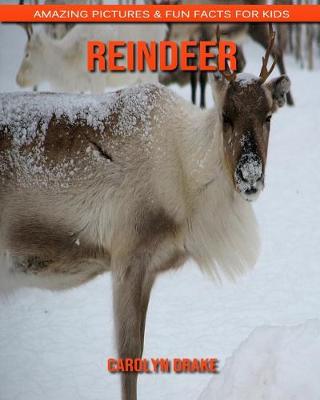 Book cover for Reindeer