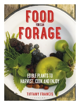 Book cover for Food You Can Forage