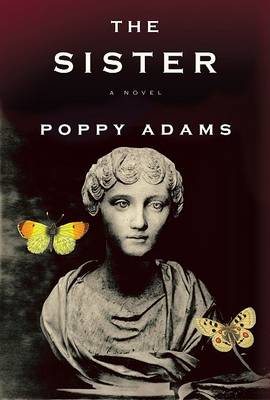 Book cover for The Sister