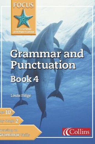 Cover of Grammar and Punctuation Book 4