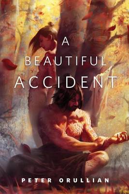 Book cover for A Beautiful Accident