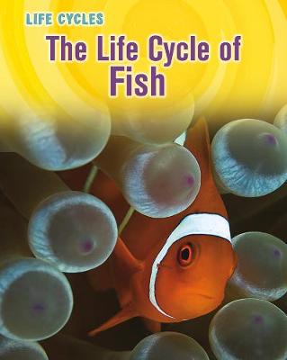 Book cover for The Life Cycle of Fish
