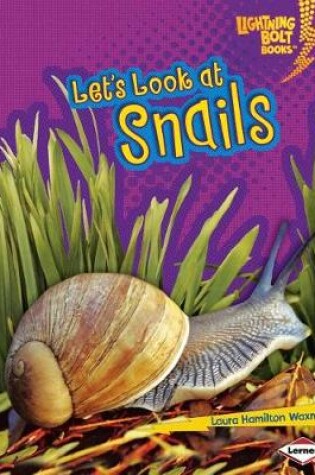 Cover of Let's Look at Snails