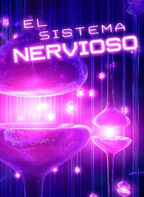 Book cover for El Sistema Nervioso (the Nervous System)