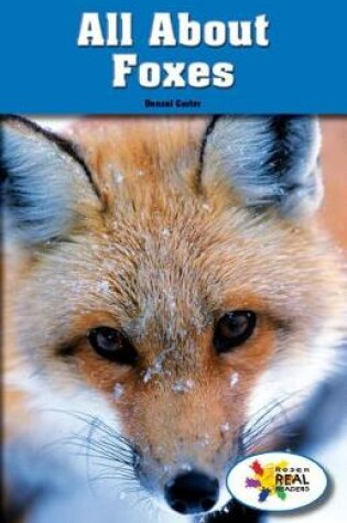Cover of All about Foxes