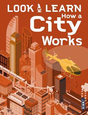 Book cover for Look & Learn: How A City Works