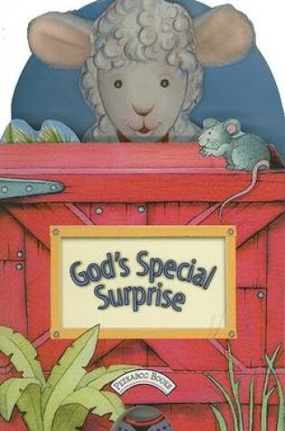 Cover of God's Special Surprise