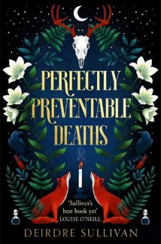 Cover of Perfectly Preventable Deaths
