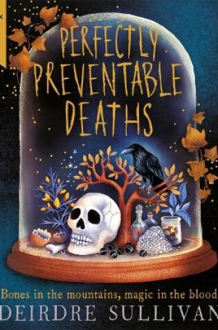 Cover of Perfectly Preventable Deaths