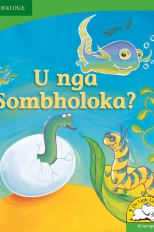 Cover of U nga sombholoka? (Xitsonga)