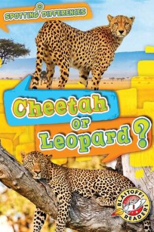 Cover of Cheetah or Leopard?