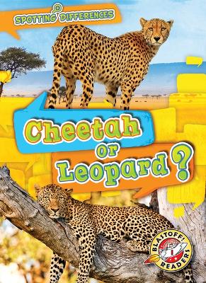 Cover of Cheetah or Leopard?