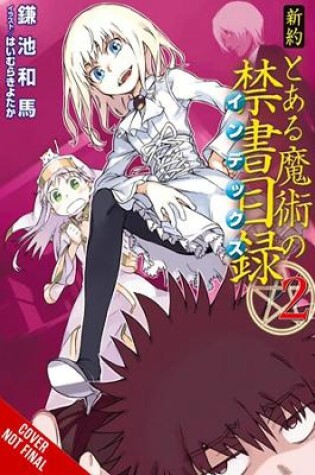 Cover of A Certain Magical Index NT, Vol. 2 (light novel)