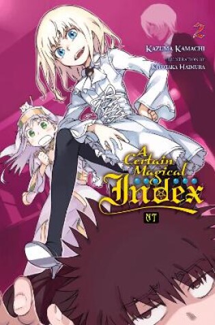 Cover of A Certain Magical Index NT, Vol. 2 (light novel)