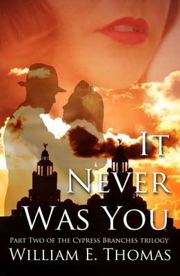 Book cover for It Never Was You