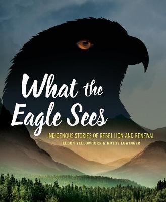 Book cover for What the Eagle Sees