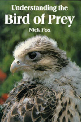 Cover of Understanding the Bird of Prey