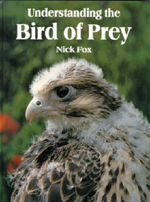 Cover of Understanding the Bird of Prey