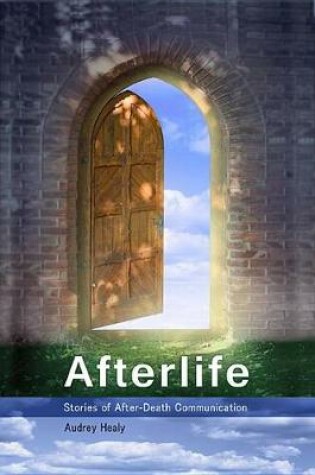 Cover of Afterlife