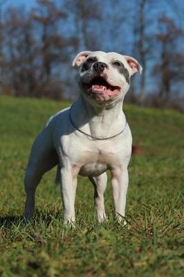 Book cover for The Staffordshire Bull Terrier Dog Journal