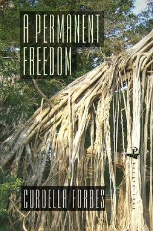Cover of A Permanent Freedom
