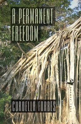 Book cover for A Permanent Freedom