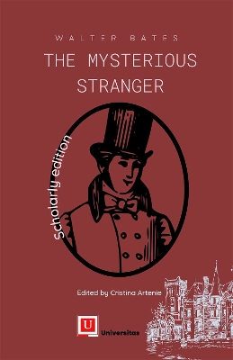 Book cover for The Mysterious Stranger