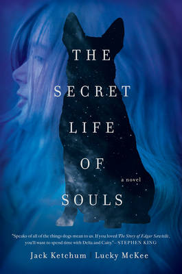 Book cover for The Secret Life of Souls