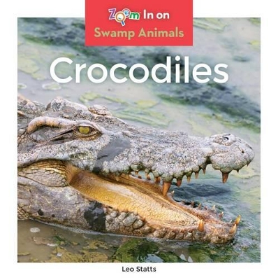 Book cover for Crocodiles