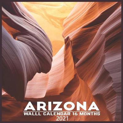 Book cover for Arizona 2021 Wall Calendar