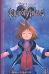 Book cover for Kingdom Hearts 1