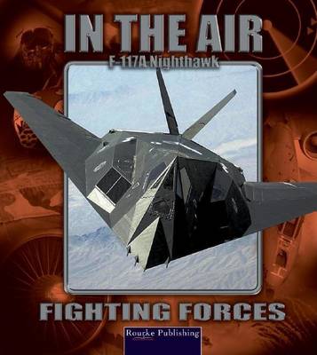 Book cover for F117a Nighthawk