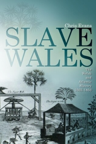 Cover of Slave Wales