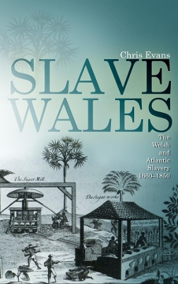 Book cover for Slave Wales