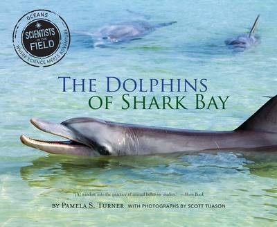 Book cover for Dolphins of Shark Bay