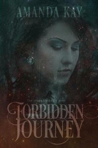 Cover of Forbidden Journey