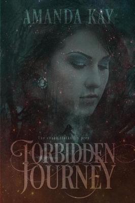 Book cover for Forbidden Journey
