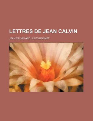 Book cover for Lettres de Jean Calvin (2)